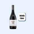 Vino Casillero Del Diablo Shiraz Botella 750ml